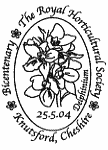 Delphinium (flower)