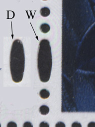 42p country stamp showing the difference in the eliptical perforation of the Walsall printing compared to the De La Rue
