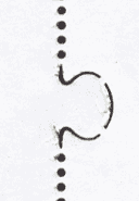 Enlargement of linked jigsaw perforation on Darwin stamps.