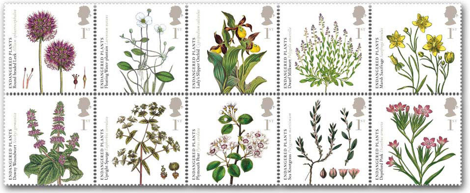 set of 10 plant stamps.