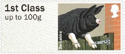 Pictorial Faststamps - Berkshire pig.