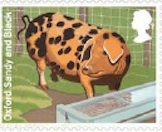 Oxford pig faststamp (detail).