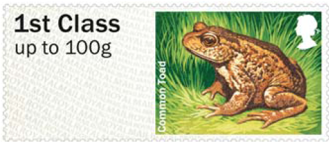 Faststamp showing common toad.