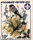 Sheffield Scout Stamp 1986 - Bullfinches