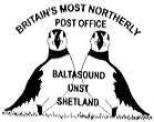 puffins